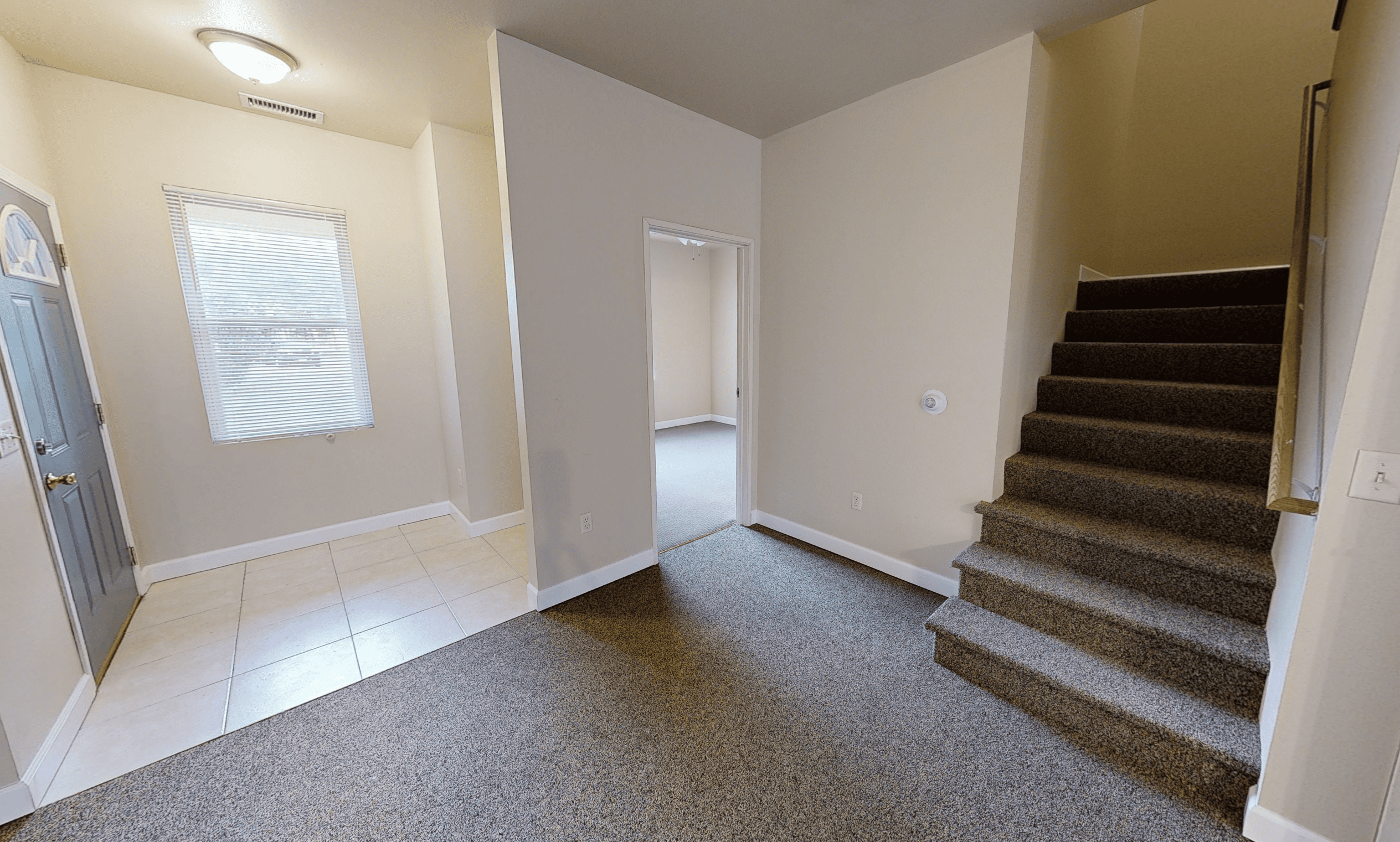 Gallery Photo 13